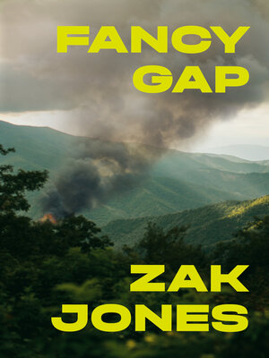 cover image of Fancy Gap